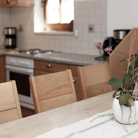 公寓 Manuela 索尔登