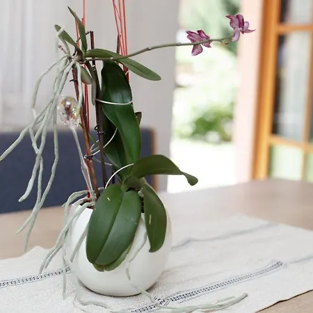 Manuela Appartement